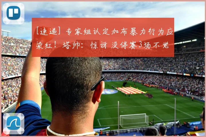 [速递] 专家组认定加布暴力行为应染红！塔帅：惊讶 没停赛3场不觉得幸运